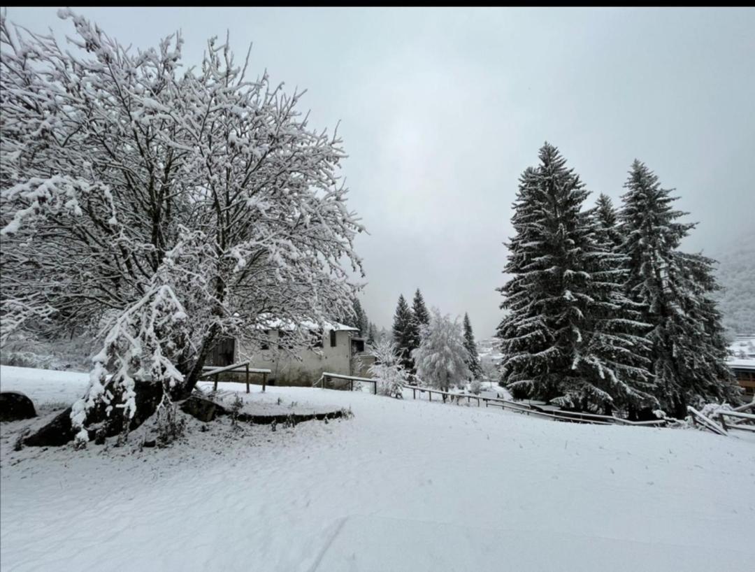Ski-Garden Меццана Екстер'єр фото