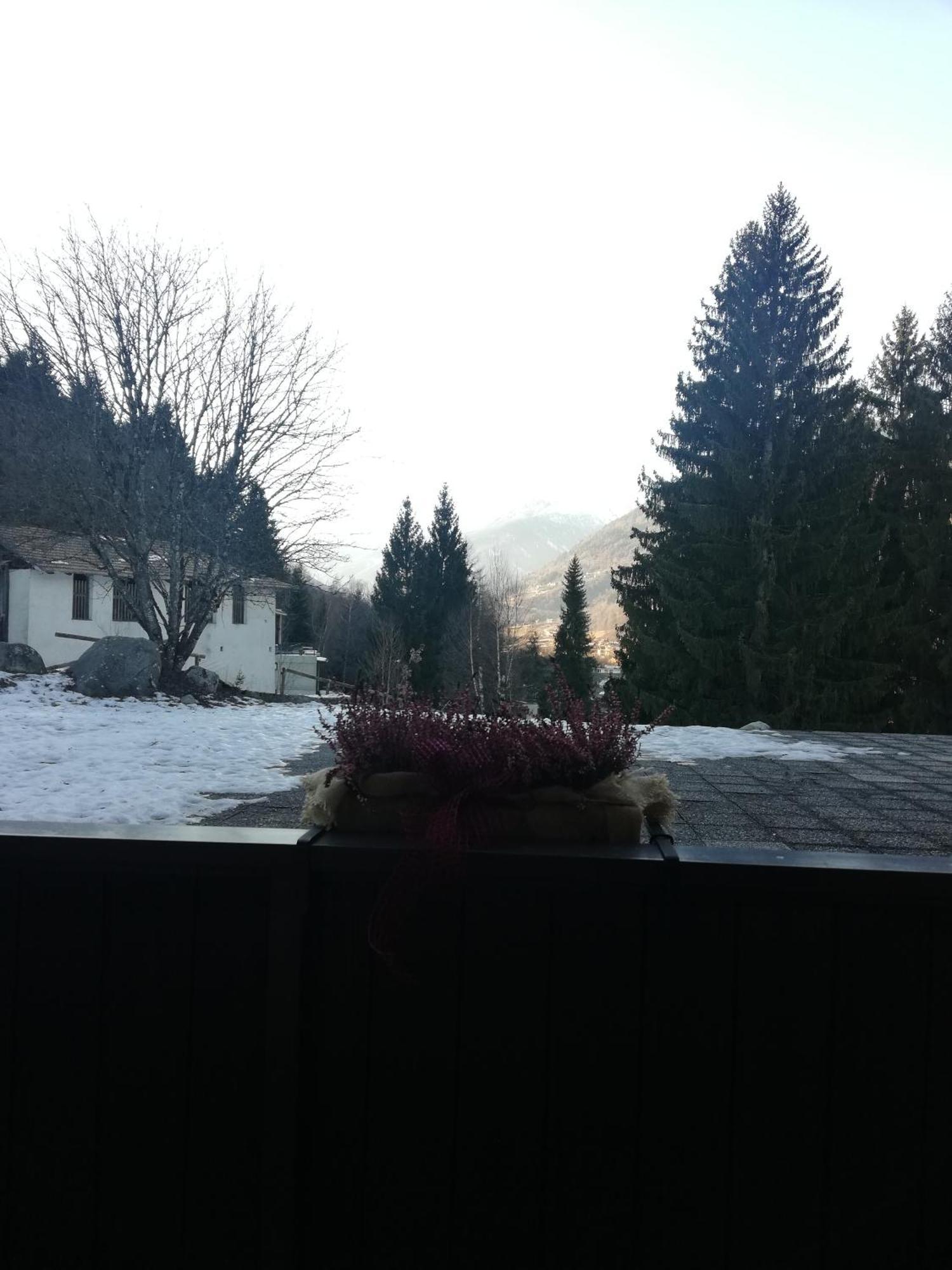 Ski-Garden Меццана Номер фото
